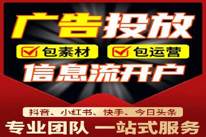 专业sem托管服务案例，揭秘广告投放优化策略